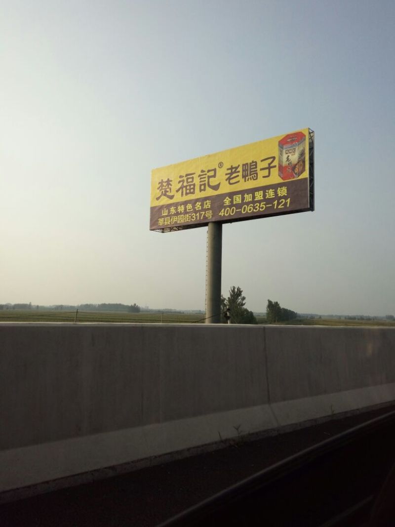麻辣鸭