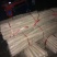 铁棍山药2~3厘米50~70厘米一级
