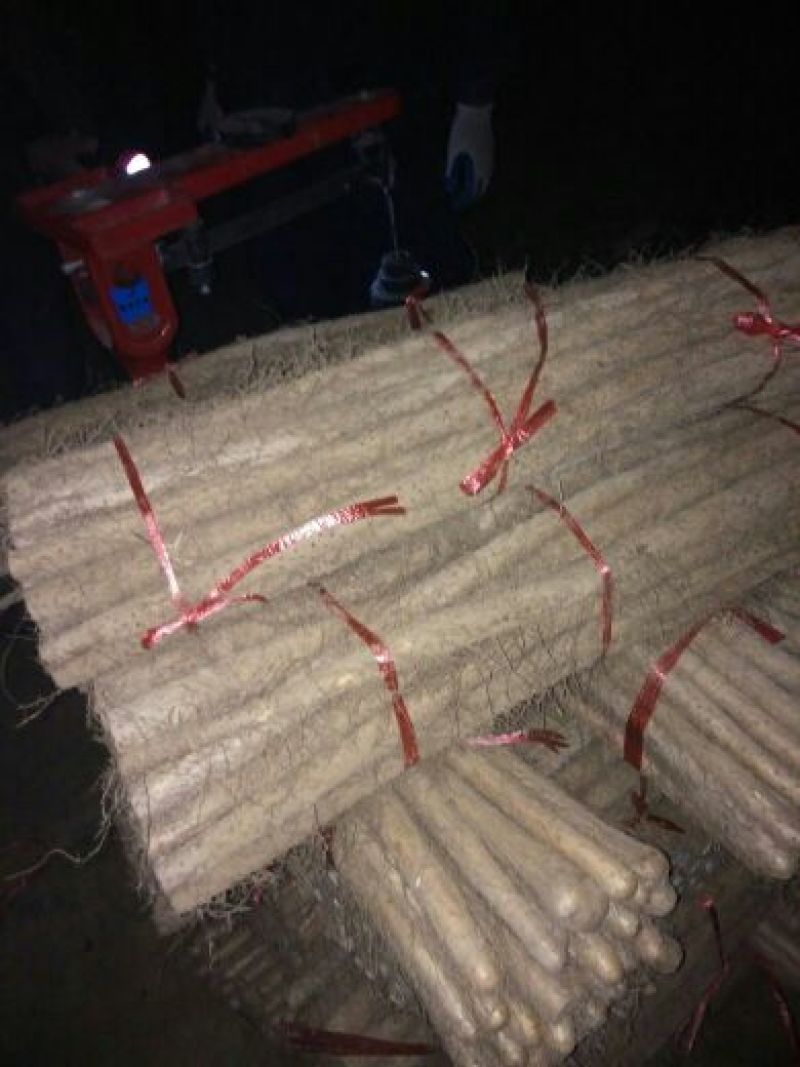 铁棍山药2~3厘米50~70厘米一级