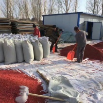 红枸杞干货头茬精品红枸杞等级红枸杞甘肃红枸杞