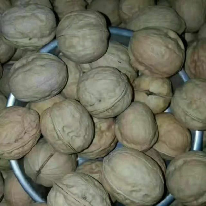 薄皮核桃30mm以上去皮干
