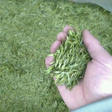 龙井茶西湖龙井茶新茶包邮高档礼盒包装龙井茶叶