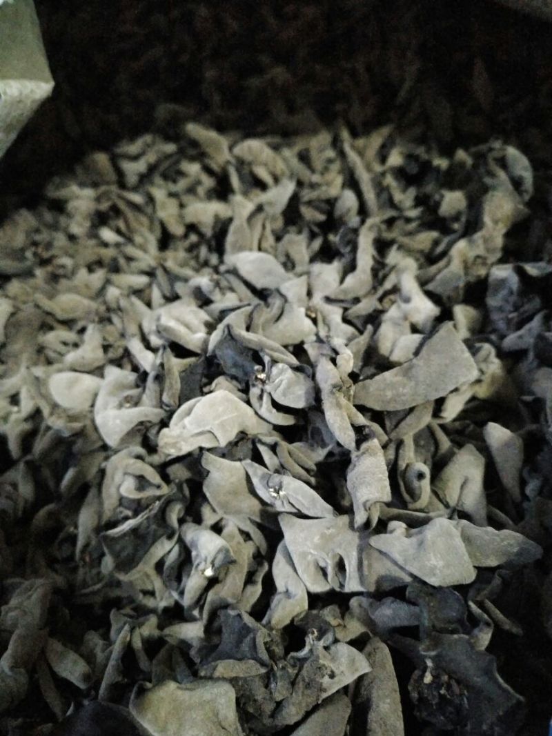 黑山秋耳一级