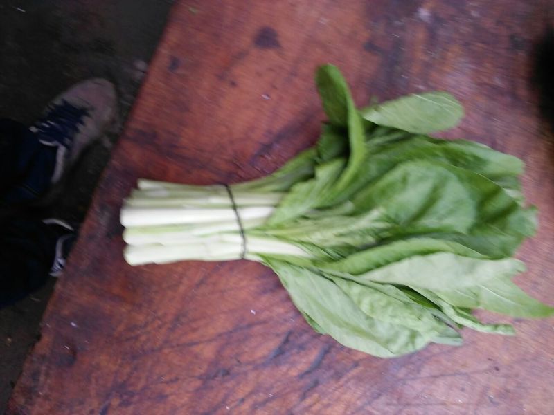 红菜苔15~20厘米