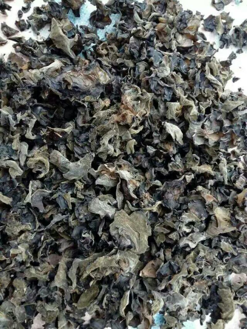黑木耳特级