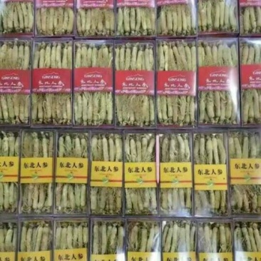 白参菇白参