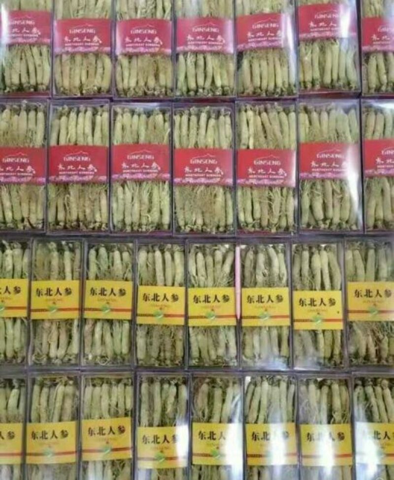 白参菇白参