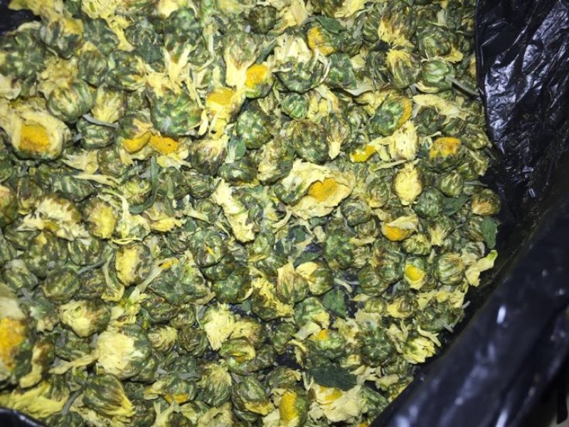 野菊花
