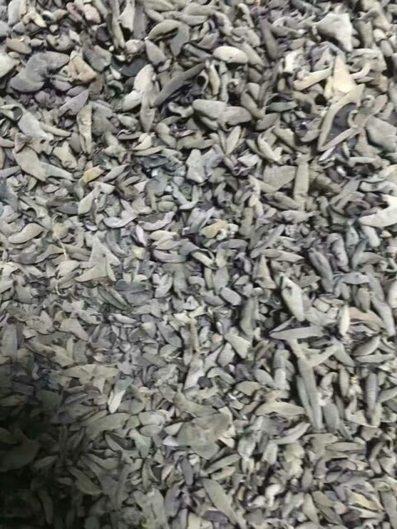 黑木耳特级