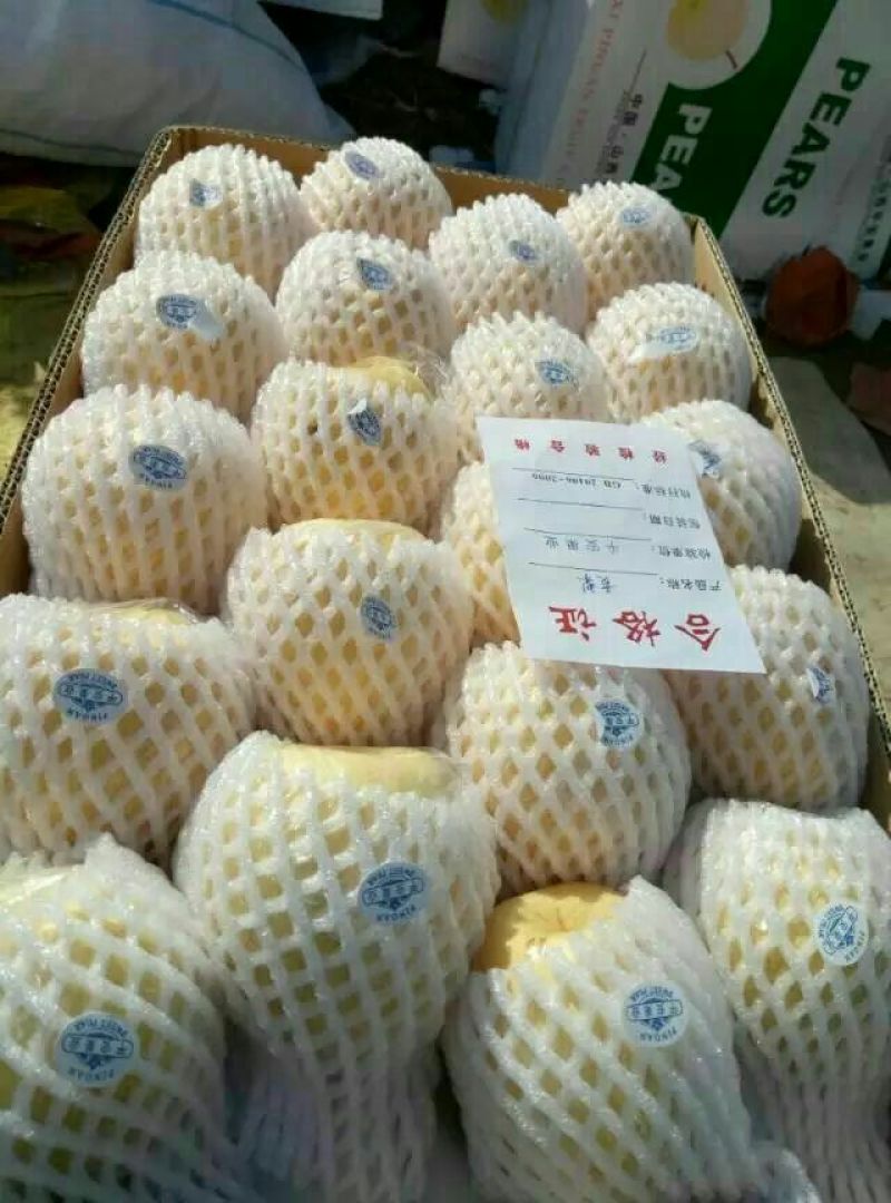 酥梨300~350g纸箱