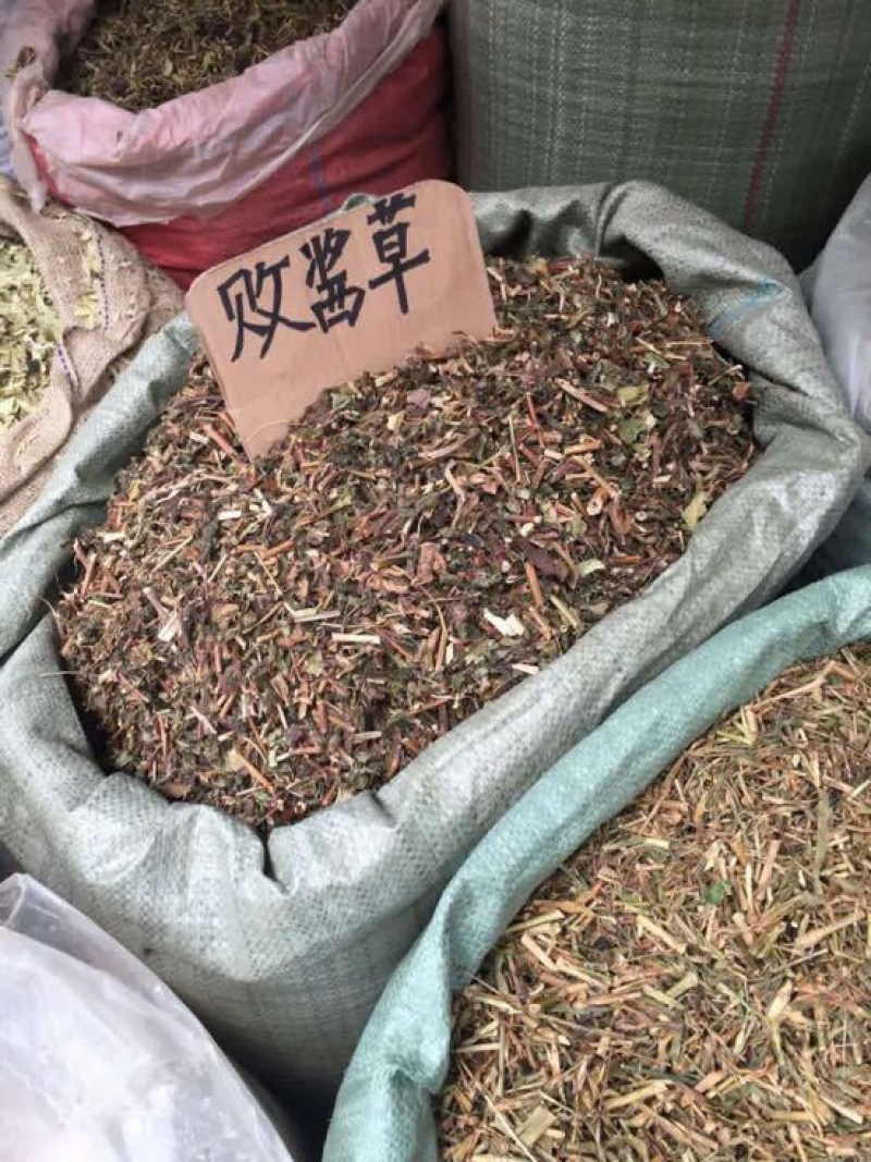 败酱