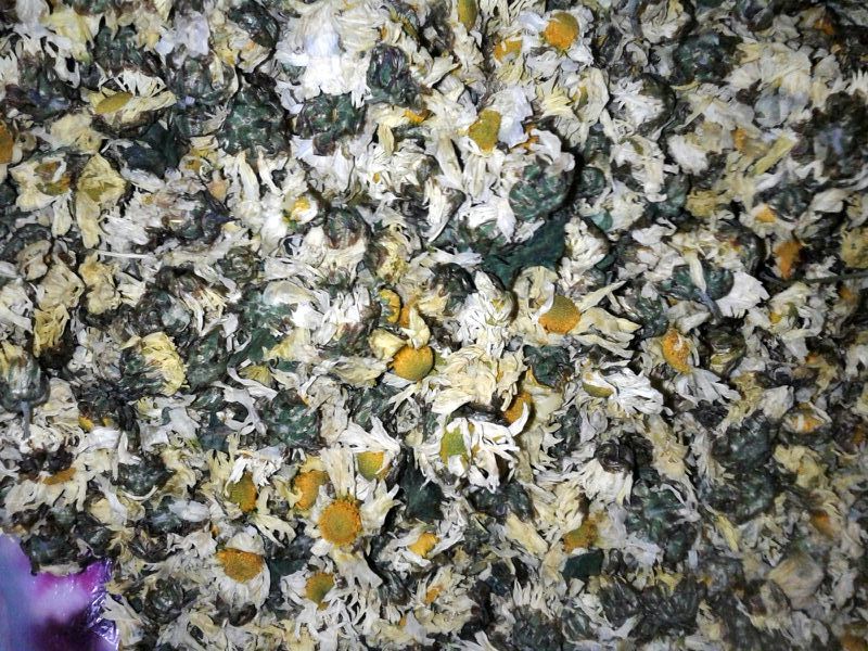 杭州白菊散装