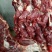 驴肉鲜货