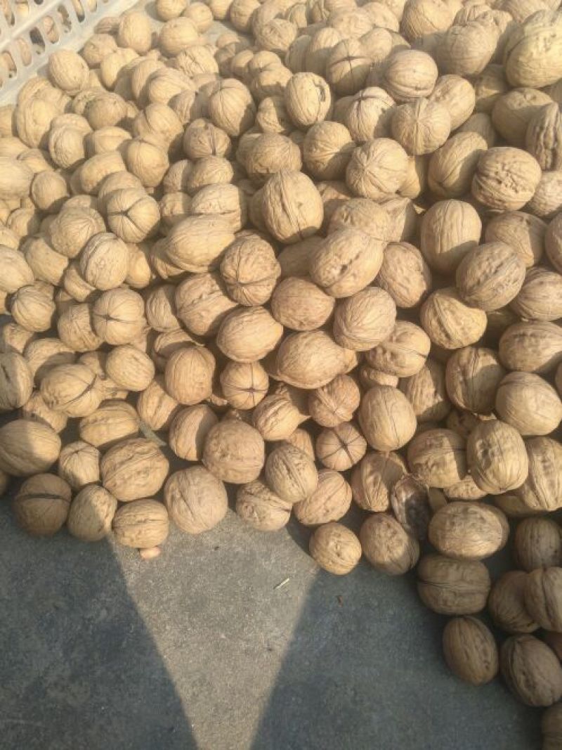 香玲核桃25mm以下去皮干