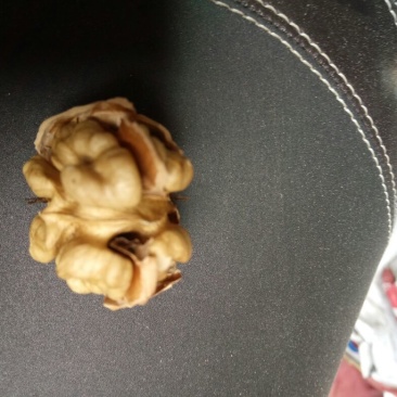 薄皮核桃去皮干