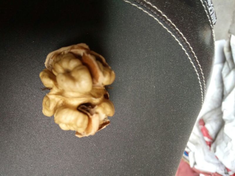 薄皮核桃去皮干