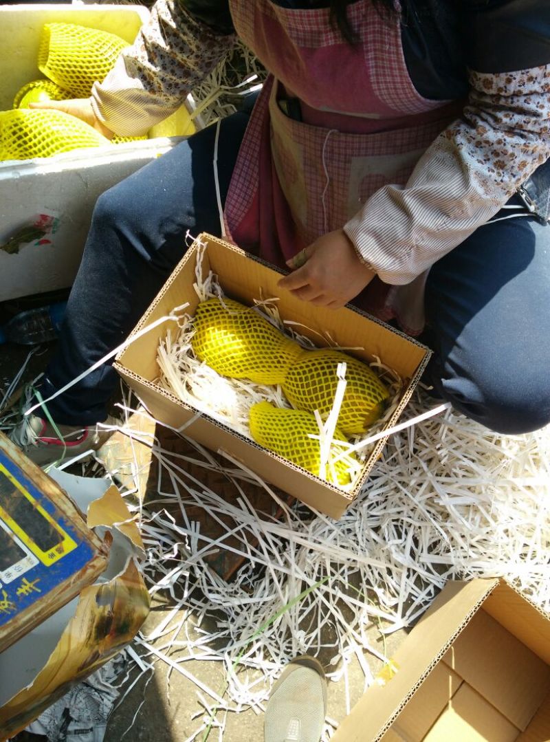 香木瓜