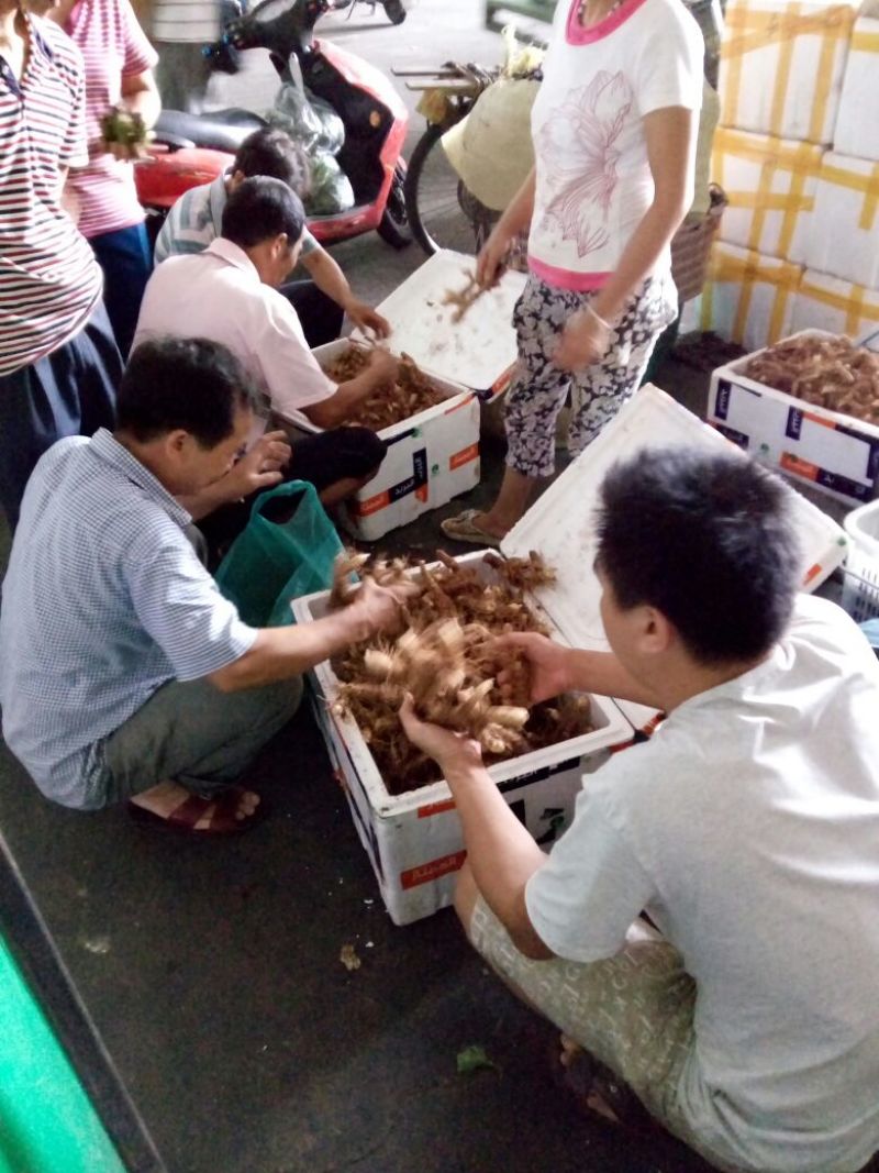 玉竹