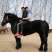 肉马
