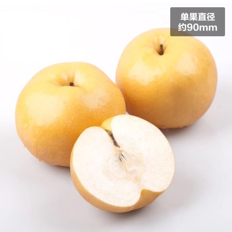 晚秋黄梨