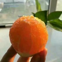 冰糖橙橙子柑橘产地直销看货采摘保质保量欢迎订购