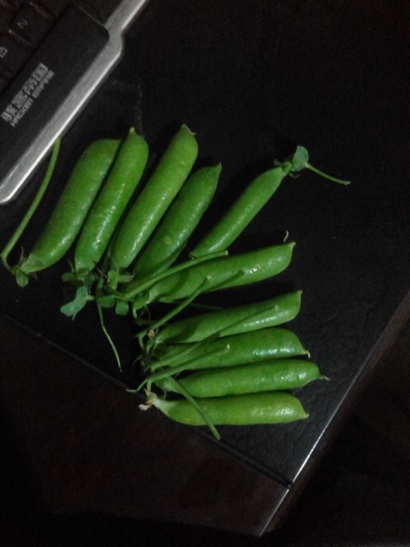 长寿仁甜脆豌豆云南丽江大青豌豆单花单荚