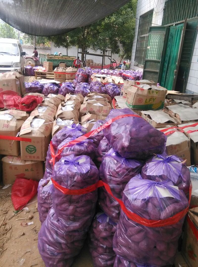 龙薯9号黄心3两以上。产品源自产地，诚信经营现挖现发