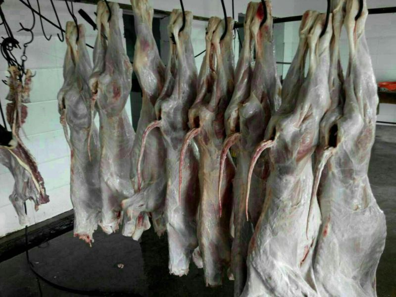 小牛后腿肉，带骨后腿，脊骨，脖骨，牛排，