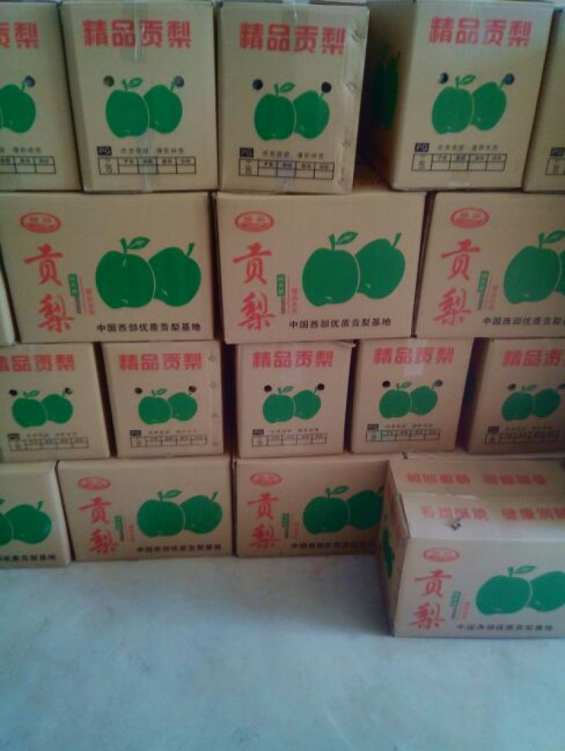 礼泉酥梨250~300g纸袋