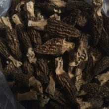 湖南邵阳市邵阳县彭飞龙的农产品批发\/采购