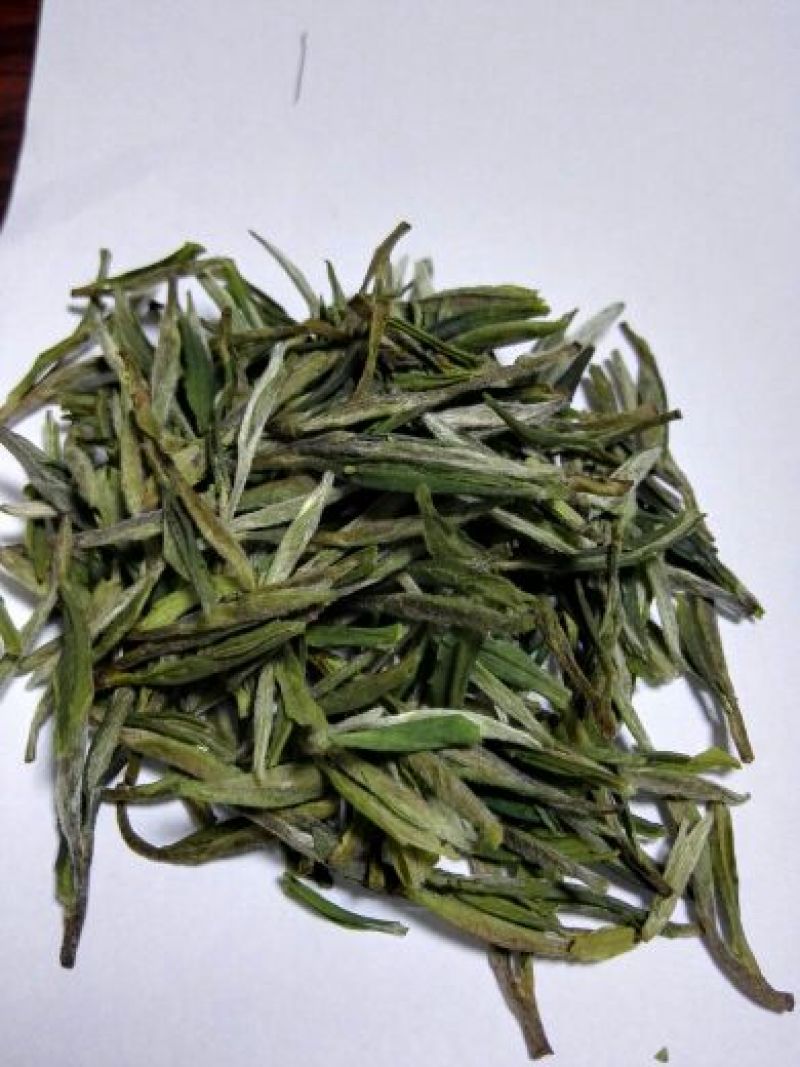 本山茶一级