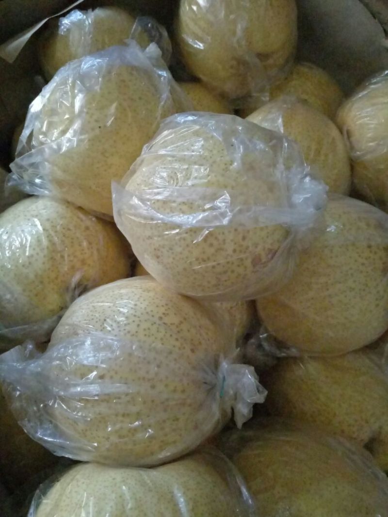 早酥梨450~500g纸加膜
