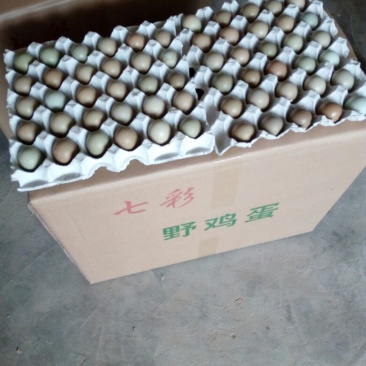野鸡蛋食用50g以下