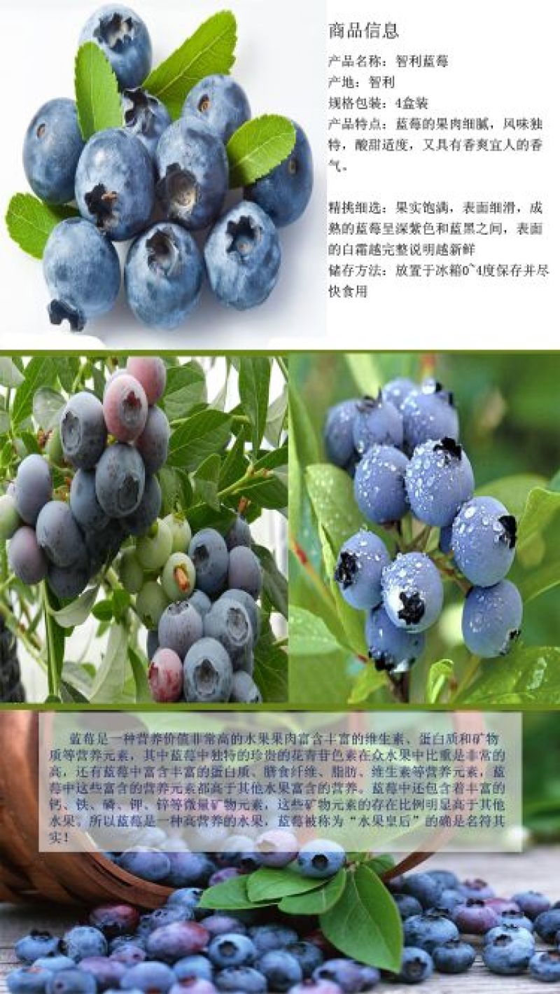 蓝莓4~6mm以上
