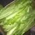 油麦菜