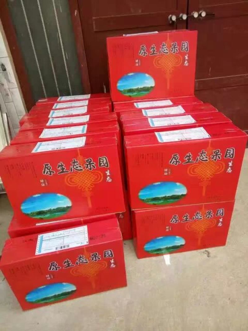 砀山梨250~300g纸加膜