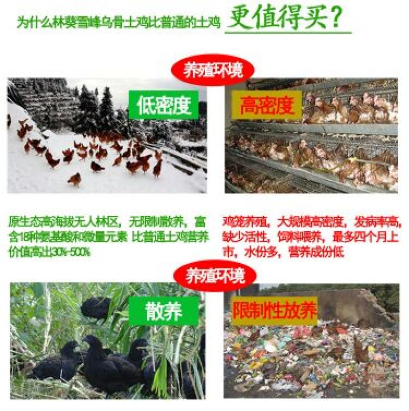 绿壳鸡蛋食用50g以下