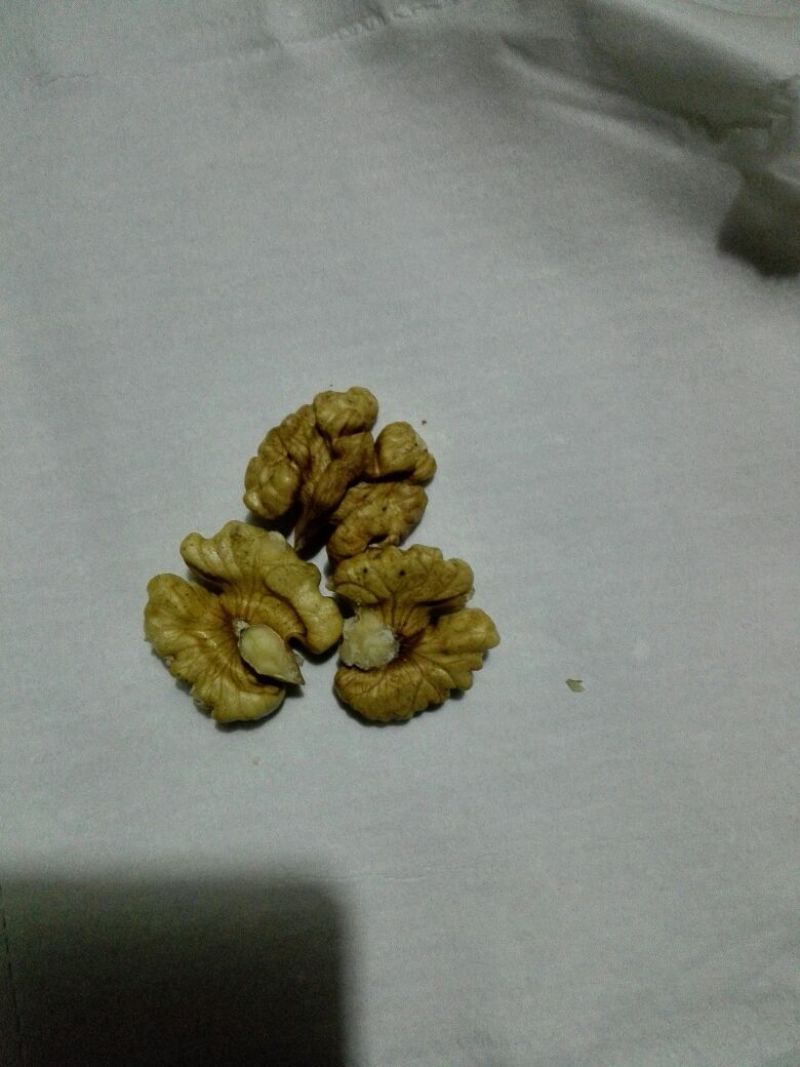 脱皮核桃30mm以上去皮