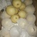 皇冠梨300~350g纸袋