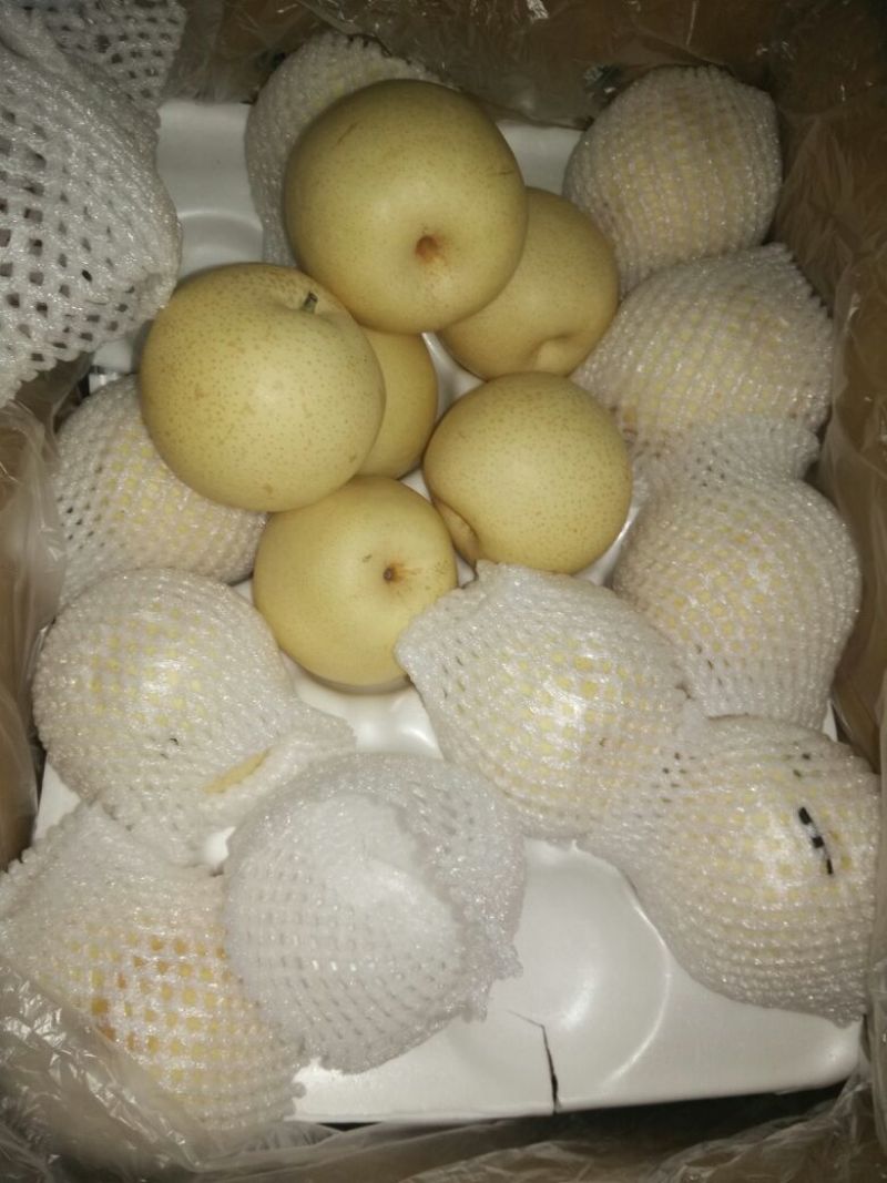 皇冠梨300~350g纸袋