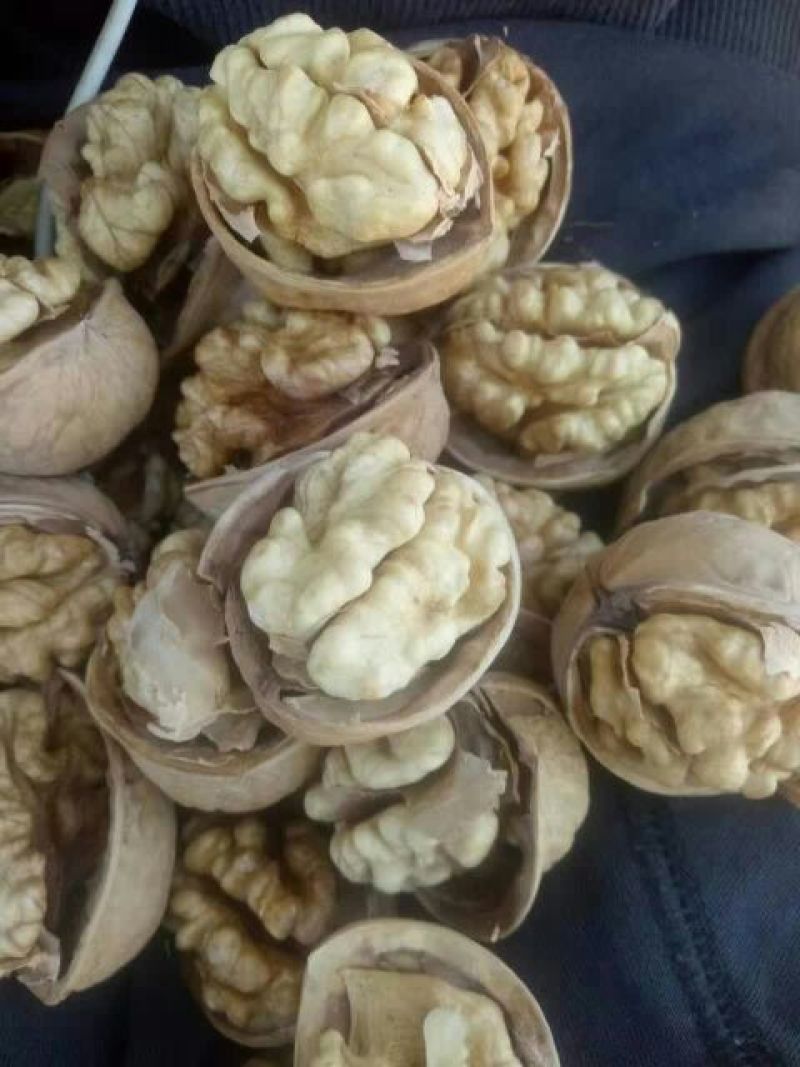 薄皮核桃30mm以上去皮