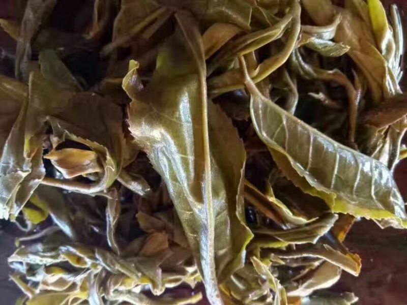 普洱绿茶紧压茶