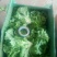 庞瑞亭蔬菜购销公司长年大量供应精品生菜，意大利