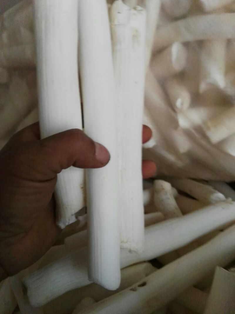 通草/木通，空心木，大通货量大质量好价格优对接全
