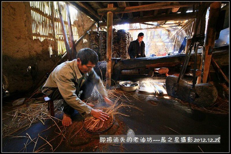 粮油作物