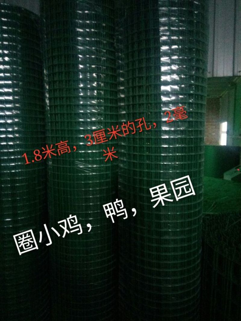 养鸡围栏网6公分