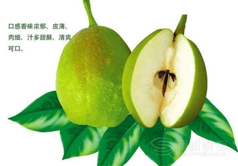 库尔勒香梨