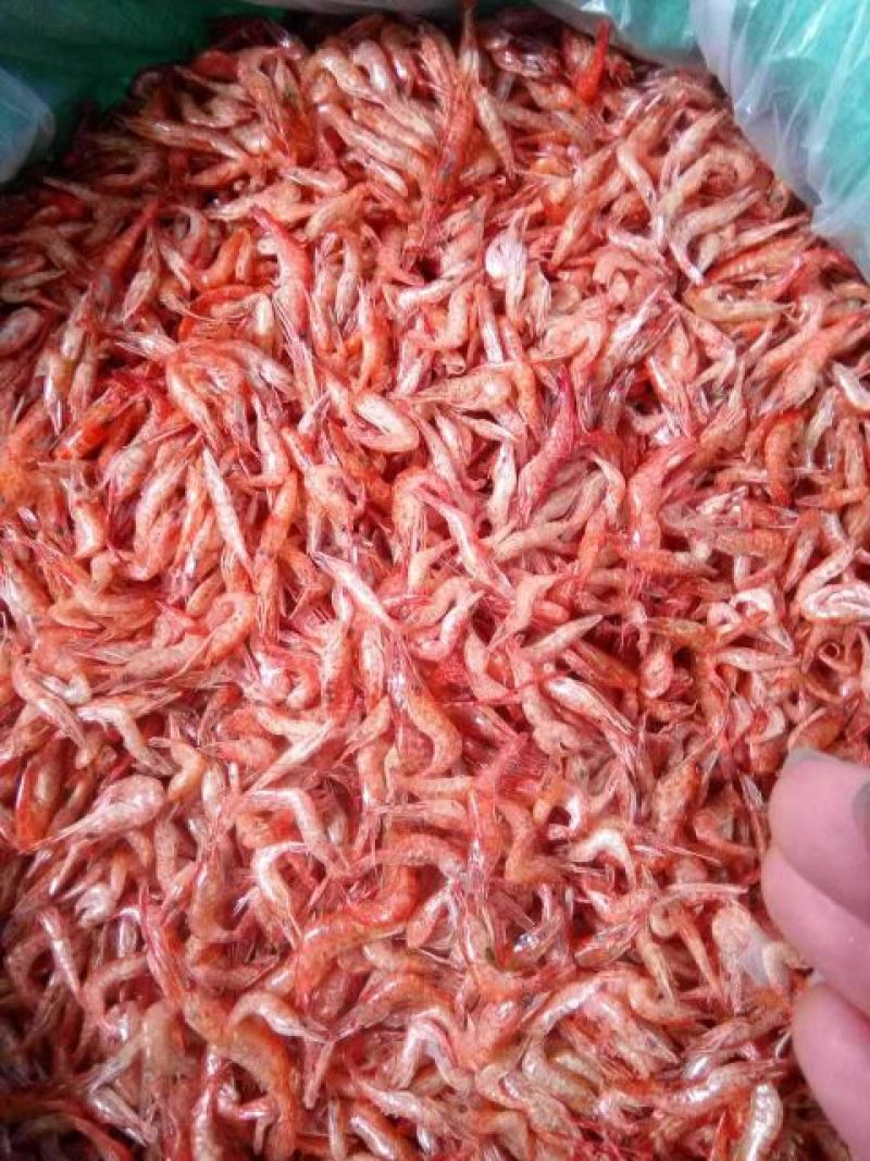 干虾