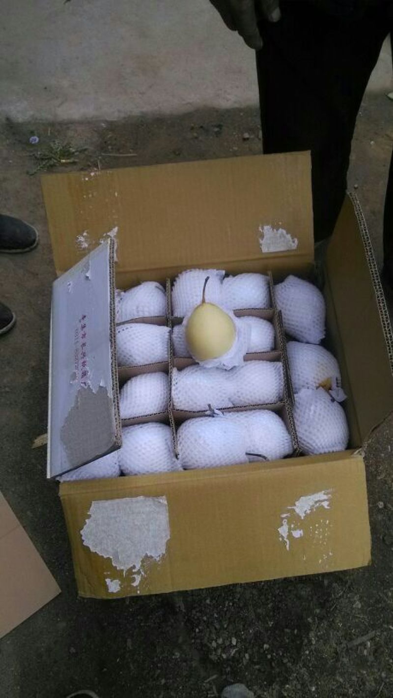 水晶梨纸袋200~250g
