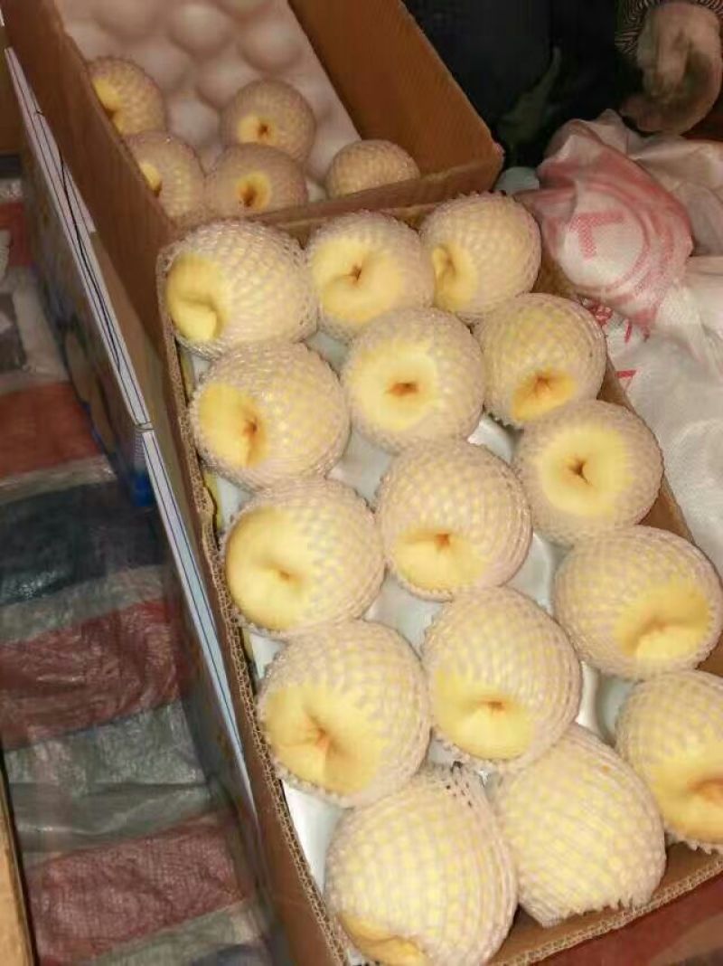 酥梨300~350g纸袋